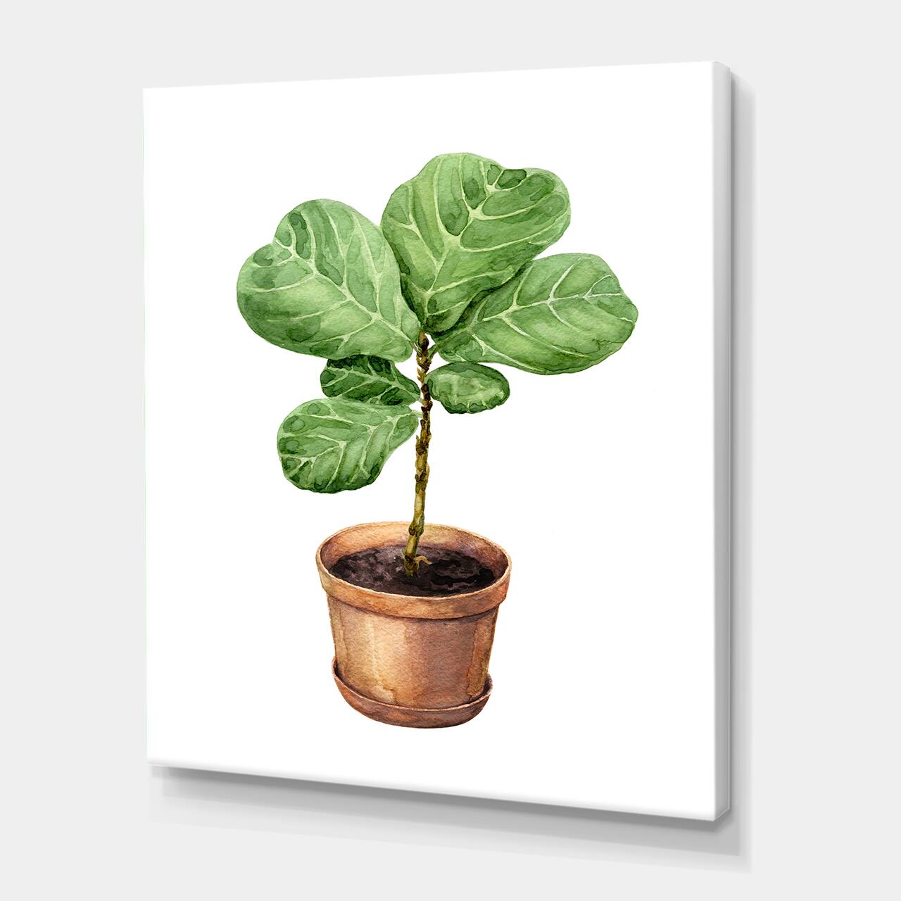 Designart - Ficus Lyre In Clay Flowerpot - Traditional Canvas Wall Art Print